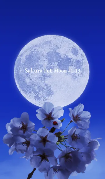 [LINE着せ替え] Sakura Full Moon #1-13の画像1