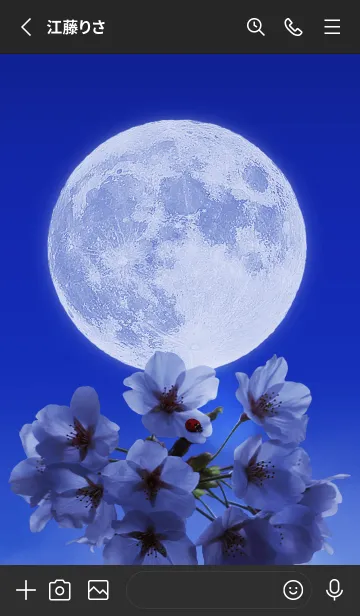 [LINE着せ替え] Sakura Full Moon #1-13の画像2