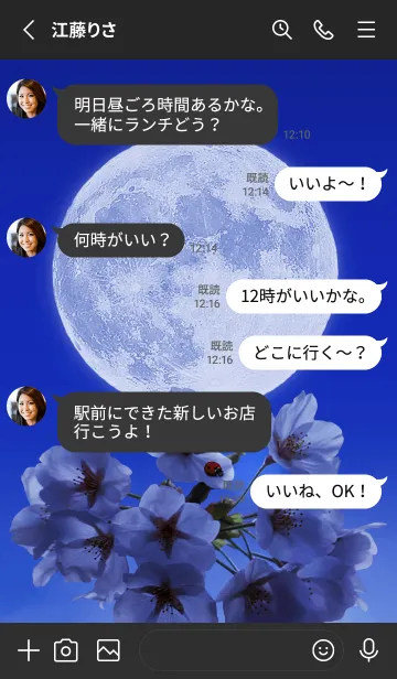 [LINE着せ替え] Sakura Full Moon #1-13の画像3