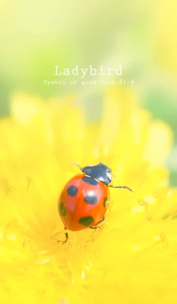 [LINE着せ替え] Ladybird Symbol of good luck #1-9の画像1