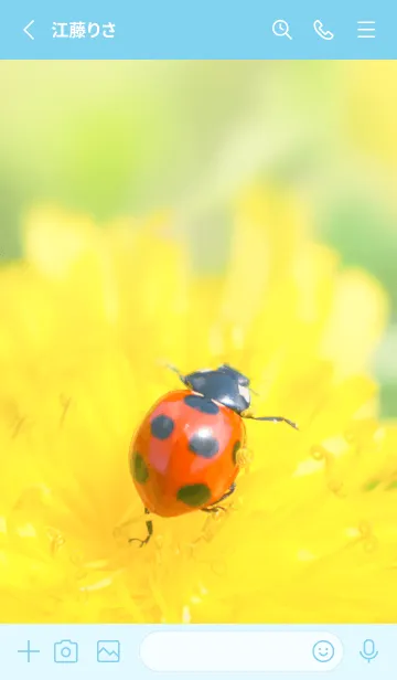 [LINE着せ替え] Ladybird Symbol of good luck #1-9の画像2