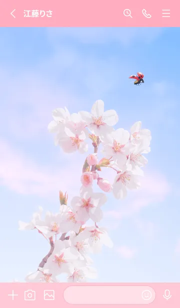 [LINE着せ替え] Sakura & Ladybird #3-4の画像2