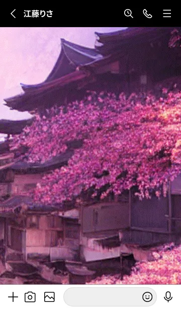 [LINE着せ替え] 和の夜桜#DZ05。の画像2