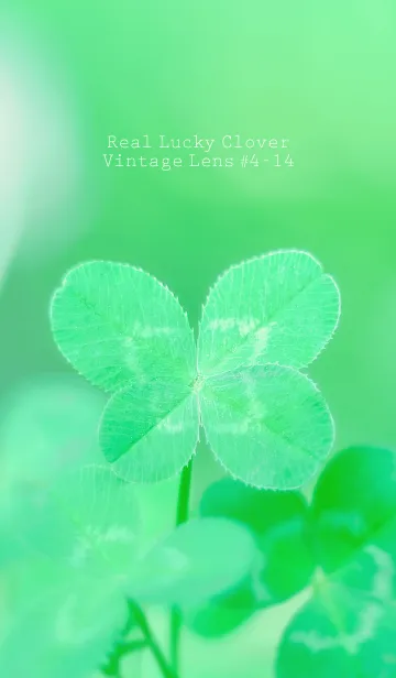 [LINE着せ替え] 四つ葉のクローバー Vintage Lens #4-14の画像1