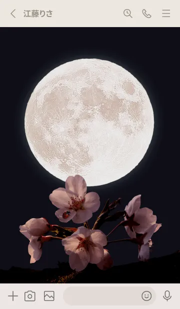 [LINE着せ替え] Sakura Full Moon #2-8の画像2