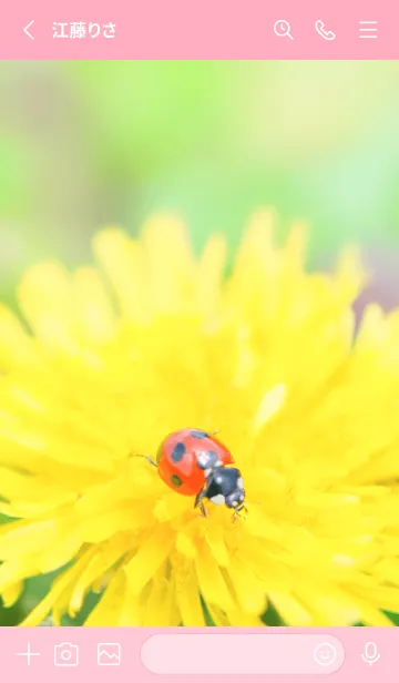 [LINE着せ替え] Ladybird Symbol of good luck #3-9の画像2