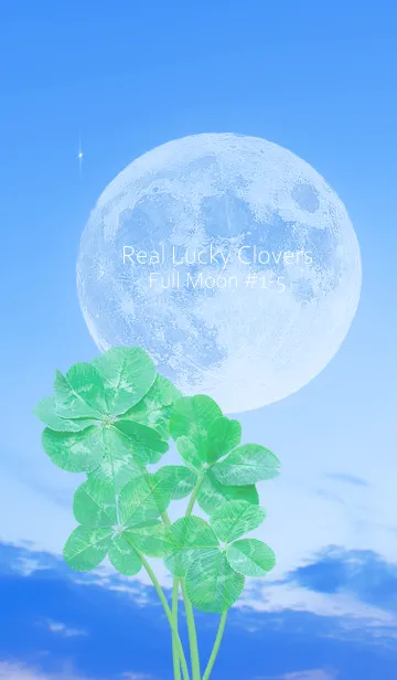 [LINE着せ替え] Real Lucky Clovers Full Moon #1-5の画像1