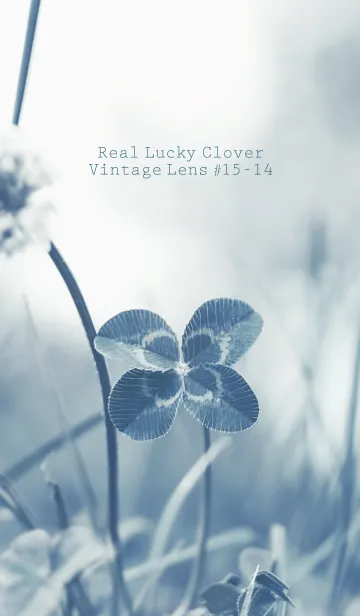 [LINE着せ替え] 四つ葉のクローバー Vintage Lens #15-14の画像1