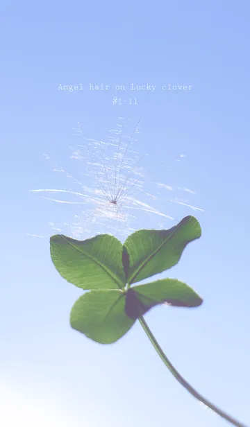 [LINE着せ替え] 幸運の妖精ケサランパサラン #1-11の画像1