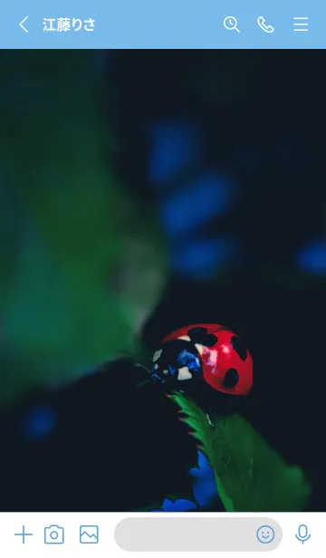 [LINE着せ替え] Ladybird Symbol of good luck #4-9の画像2