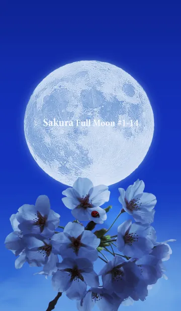 [LINE着せ替え] Sakura Full Moon #1-14の画像1