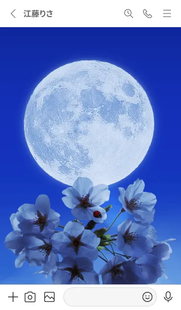 [LINE着せ替え] Sakura Full Moon #1-14の画像2