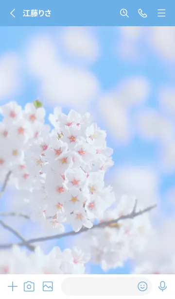 [LINE着せ替え] SakuraBokeh 40の画像2