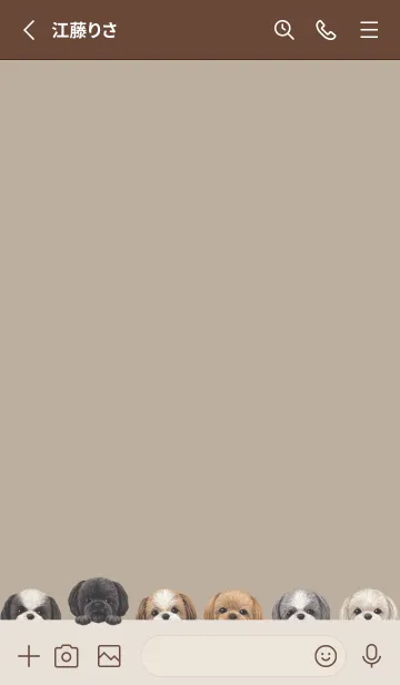 [LINE着せ替え] DOGS - シーズー - ベージュグレーの画像2