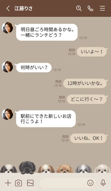 [LINE着せ替え] DOGS - シーズー - ベージュグレーの画像3