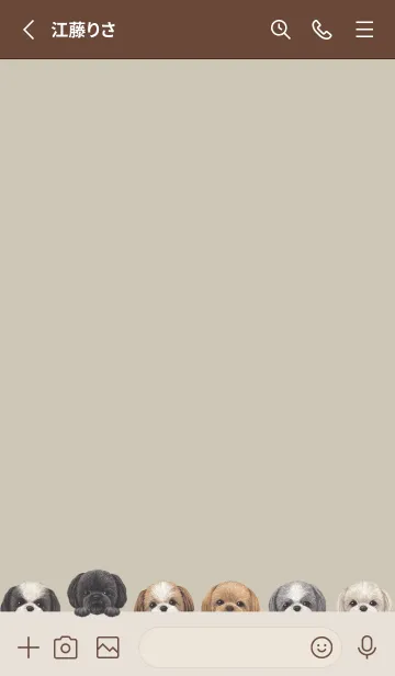 [LINE着せ替え] DOGS - シーズー - グリーングレーの画像2