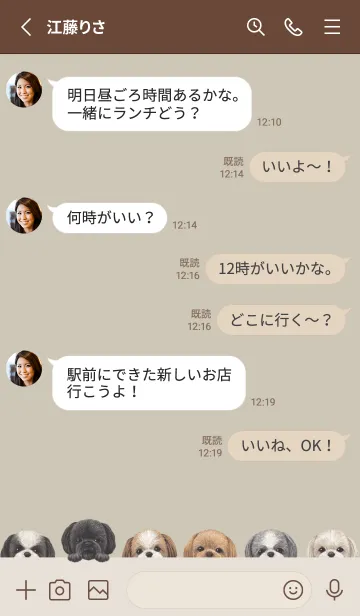 [LINE着せ替え] DOGS - シーズー - グリーングレーの画像3