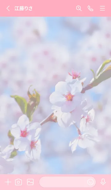 [LINE着せ替え] SakuraBokeh 41の画像2