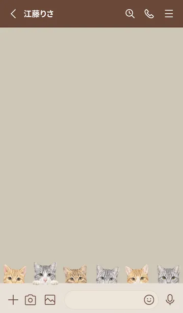 [LINE着せ替え] CATS - ミックス 03 - グリーングレーの画像2