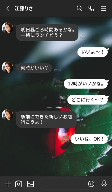 [LINE着せ替え] Ladybird Symbol of good luck #2-10の画像3