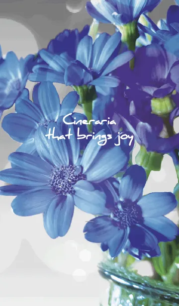 [LINE着せ替え] グレー : 喜びを運ぶサイネリアの画像1