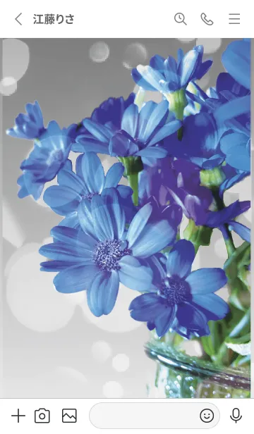 [LINE着せ替え] グレー : 喜びを運ぶサイネリアの画像2