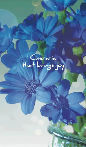 [LINE着せ替え] カーキ : 喜びを運ぶサイネリアの画像1