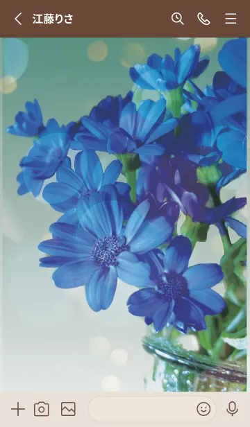 [LINE着せ替え] カーキ : 喜びを運ぶサイネリアの画像2