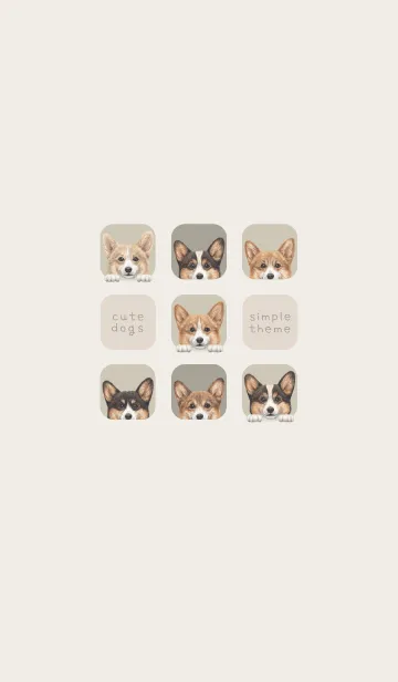 [LINE着せ替え] DOGS - コーギー01 - グリーングレーの画像1