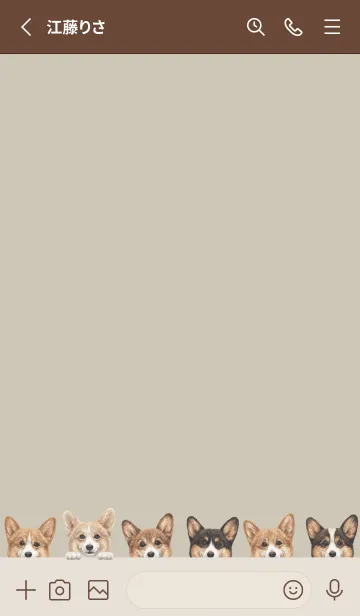 [LINE着せ替え] DOGS - コーギー01 - グリーングレーの画像2