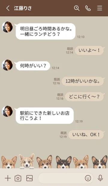 [LINE着せ替え] DOGS - コーギー01 - グリーングレーの画像3