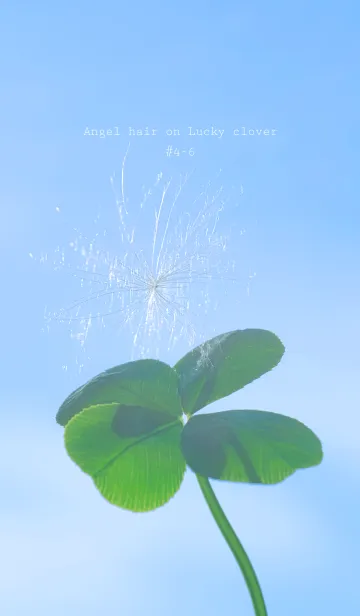 [LINE着せ替え] 幸運の妖精ケサランパサラン #4-6の画像1