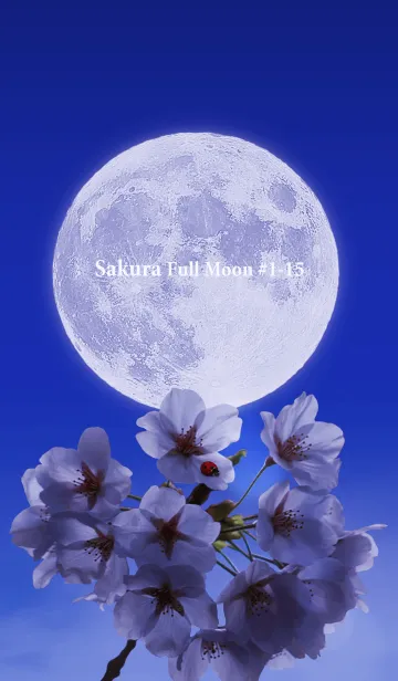 [LINE着せ替え] Sakura Full Moon #1-15の画像1