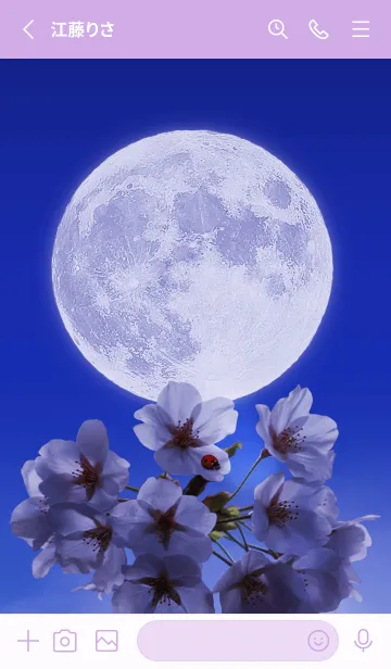 [LINE着せ替え] Sakura Full Moon #1-15の画像2