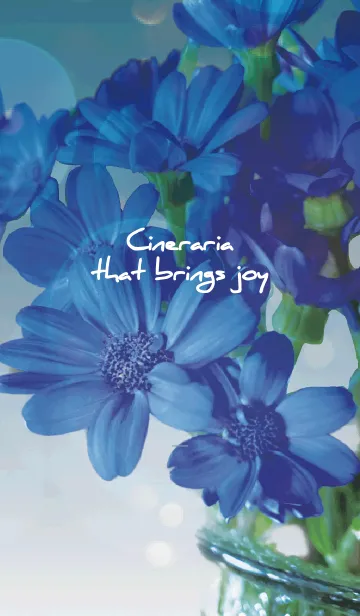 [LINE着せ替え] ベージュと青 : 喜びを運ぶサイネリアの画像1