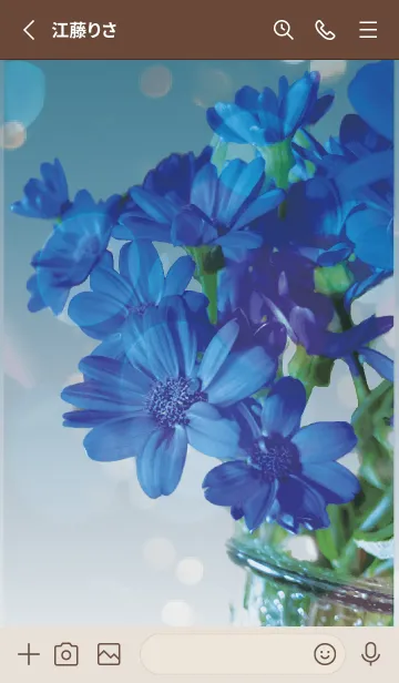 [LINE着せ替え] ベージュと青 : 喜びを運ぶサイネリアの画像2