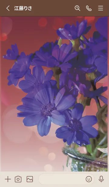 [LINE着せ替え] ボルドー : 喜びを運ぶサイネリアの画像2