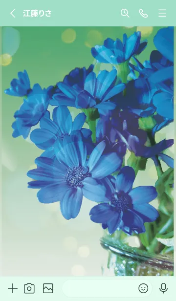 [LINE着せ替え] ミントグリーン : 喜びを運ぶサイネリアの画像2