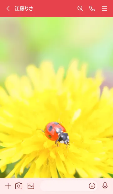 [LINE着せ替え] Ladybird Symbol of good luck #3-10の画像2