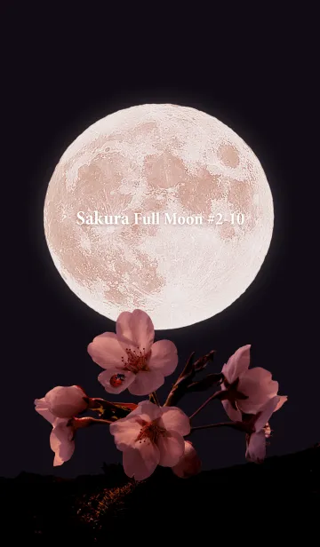 [LINE着せ替え] Sakura Full Moon #2-10の画像1