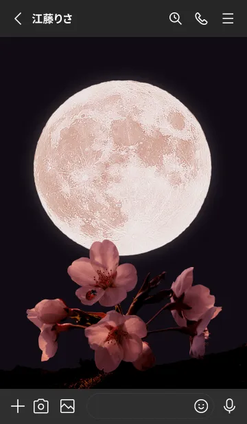 [LINE着せ替え] Sakura Full Moon #2-10の画像2