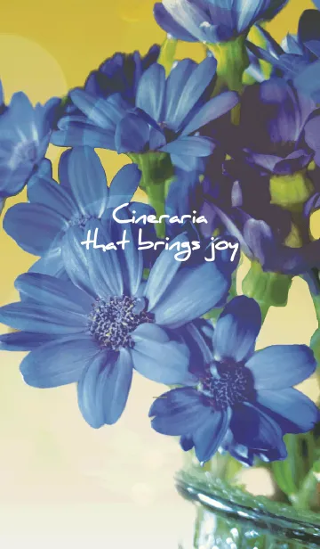 [LINE着せ替え] 黄色 : 喜びを運ぶサイネリアの画像1