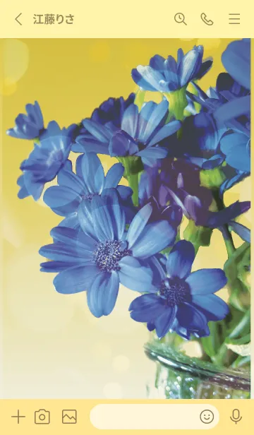 [LINE着せ替え] 黄色 : 喜びを運ぶサイネリアの画像2