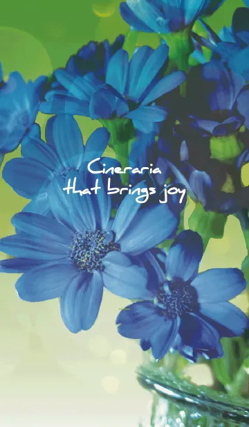 [LINE着せ替え] 黄緑 : 喜びを運ぶサイネリアの画像1