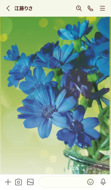 [LINE着せ替え] 黄緑 : 喜びを運ぶサイネリアの画像2