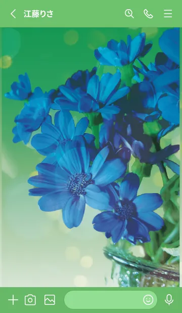 [LINE着せ替え] 緑 : 喜びを運ぶサイネリアの画像2