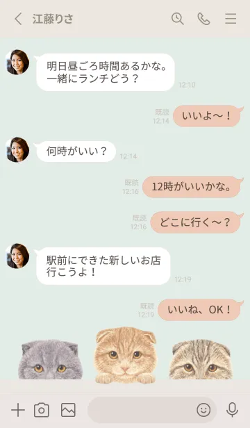 [LINE着せ替え] 猫 -スコティッシュ- パステルグリーンの画像3
