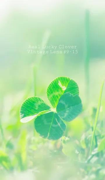 [LINE着せ替え] 四つ葉のクローバー Vintage Lens #9-15の画像1