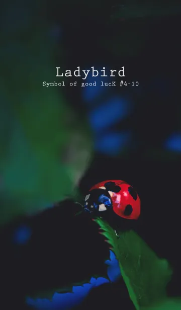 [LINE着せ替え] Ladybird Symbol of good luck #4-10の画像1
