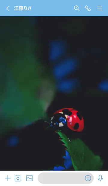 [LINE着せ替え] Ladybird Symbol of good luck #4-10の画像2